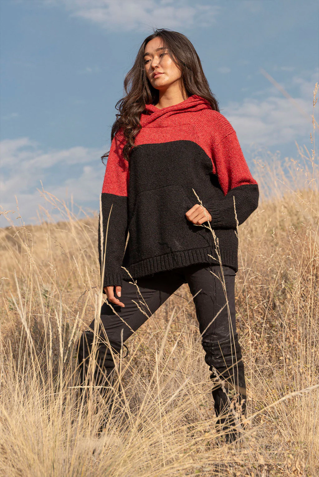 Coraline Alpaca Hoodie Pullover - Image 4