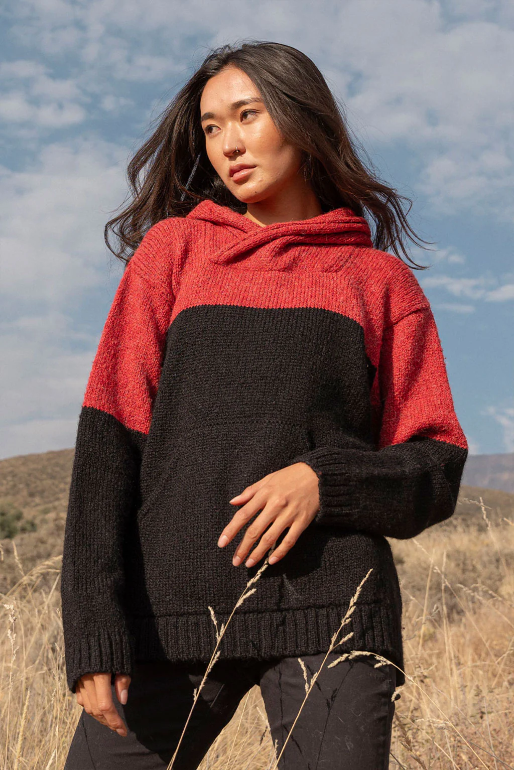 Coraline Alpaca Hoodie Pullover - Image 6