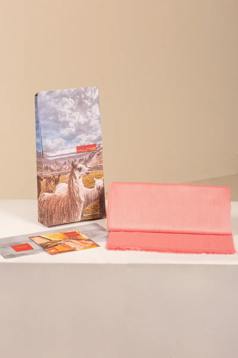 Essential Adrian Baby Alpaca Scarf - Image 25